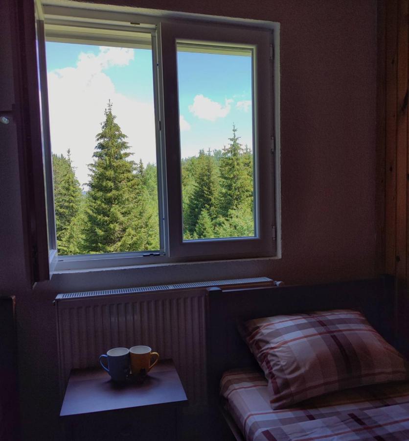 House Bozovic Villa